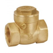 Hallmark Swing Check Valve 32mm