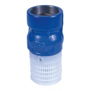 Wallace Cast Iron Threaded Foot Valve 102P 65mm BSPf - 2759