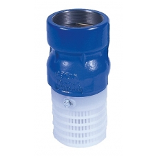 Wallace Cast Iron Threaded Foot Valve 102P 100mm BSPf - 2761