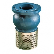 Wallace Cast Iron Flanged Foot Valve 302 250mm PN10 - 2704